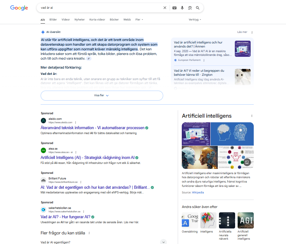 AI overview google sök