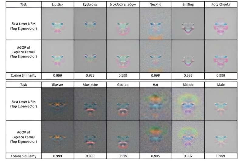 neural networks
